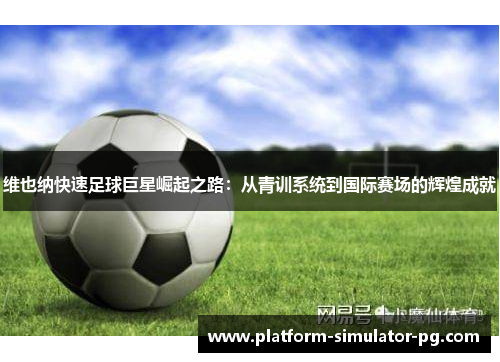 维也纳快速足球巨星崛起之路：从青训系统到国际赛场的辉煌成就