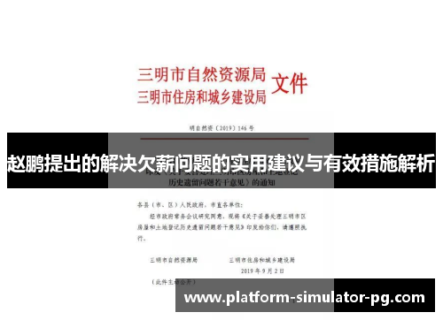 赵鹏提出的解决欠薪问题的实用建议与有效措施解析