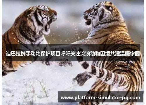 迪巴拉携手动物保护项目呼吁关注流浪动物困境共建温暖家园