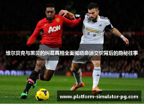 维尔贝克与黑贝的纠葛真相全面揭晓命运交织背后的隐秘往事 维尔贝克与黑贝的纠葛真相全面揭晓命运交织背后的隐秘往事