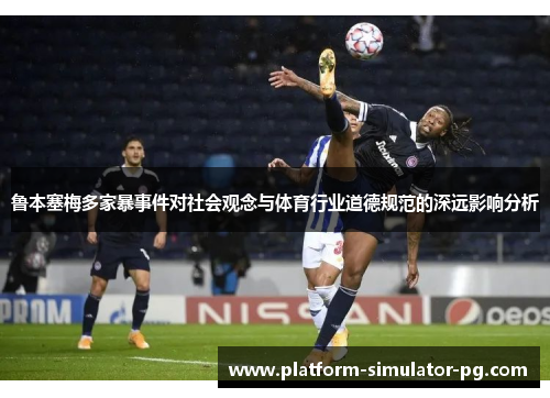 鲁本塞梅多家暴事件对社会观念与体育行业道德规范的深远影响分析