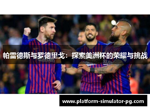 帕雷德斯与罗德里戈：探索美洲杯的荣耀与挑战