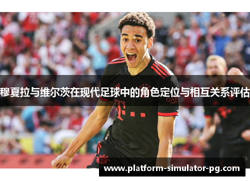 穆夏拉与维尔茨在现代足球中的角色定位与相互关系评估