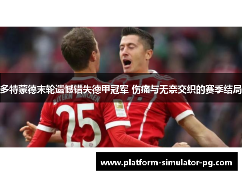 多特蒙德末轮遗憾错失德甲冠军 伤痛与无奈交织的赛季结局